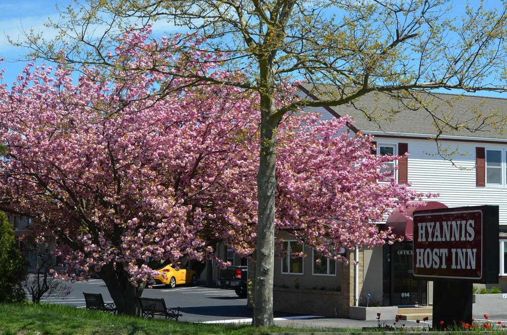 Hyannis Host Inn Экстерьер фото